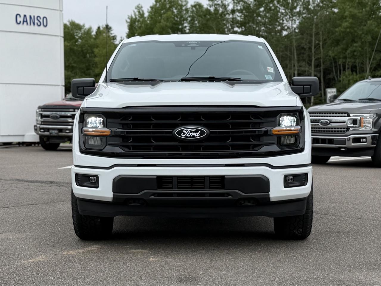 2026 Ford F-150 XLT 4WD SuperCrew 5.5' Box Photo1