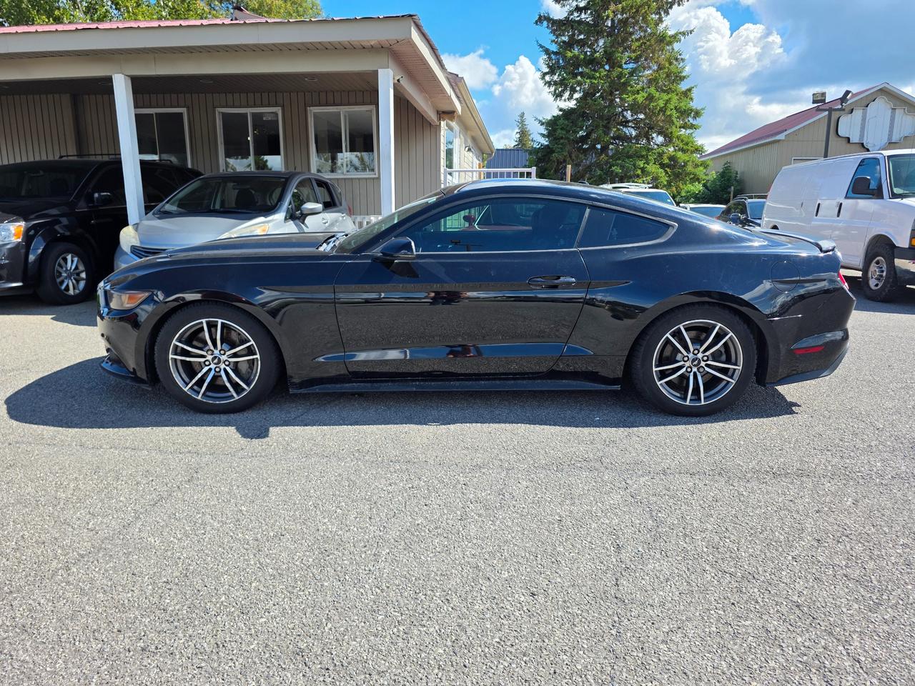 2017 Ford Mustang GT Premium 2dr Fastback Photo