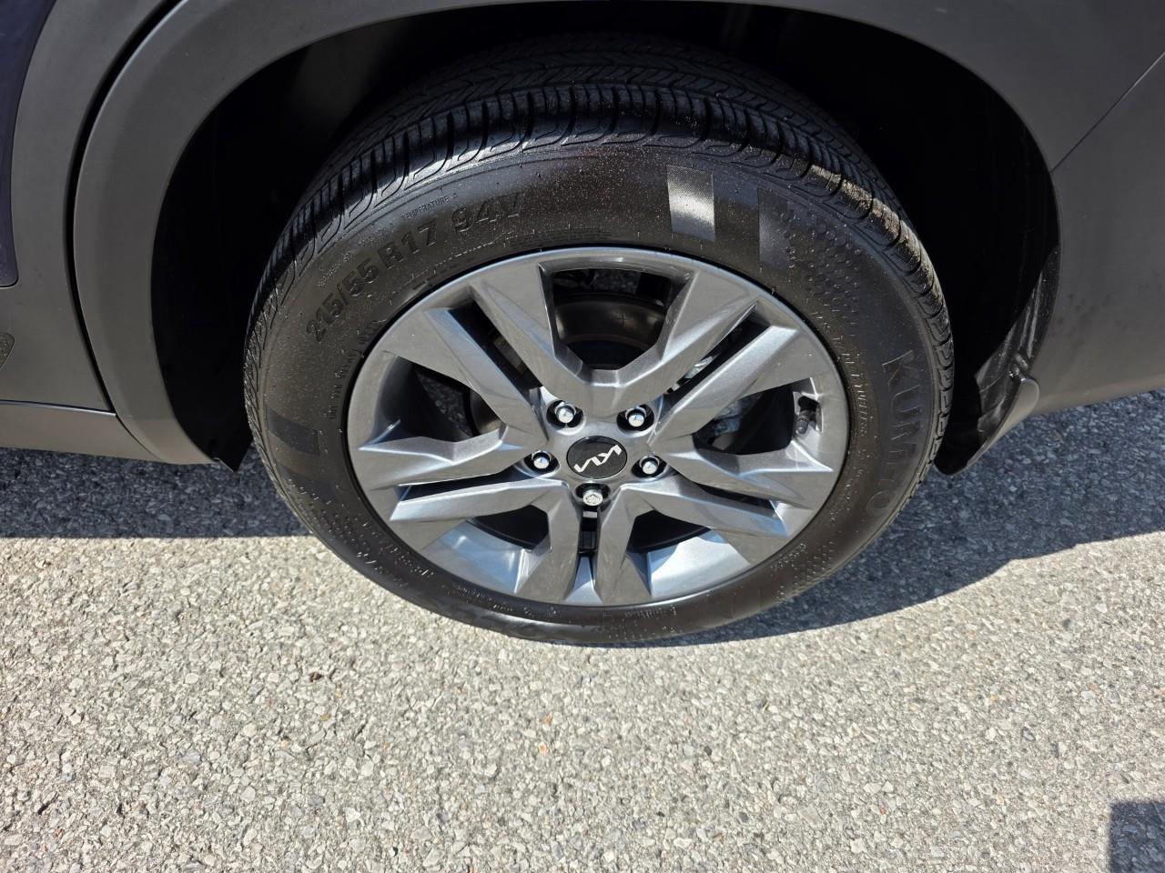 2023 Kia Seltos EX 4dr Front-Wheel Drive Photo