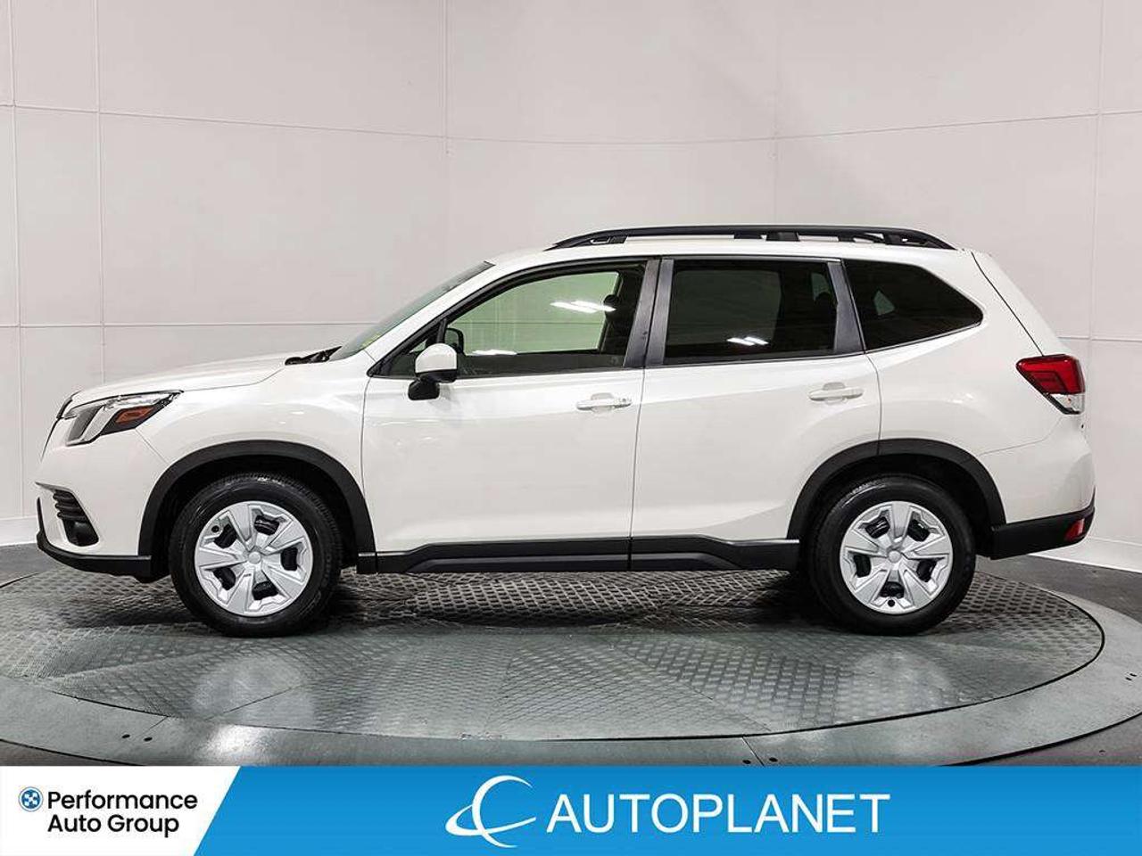2024 Subaru Forester AWD, Apple CarPlay, Back Up Cam, Heated Seats! Photo