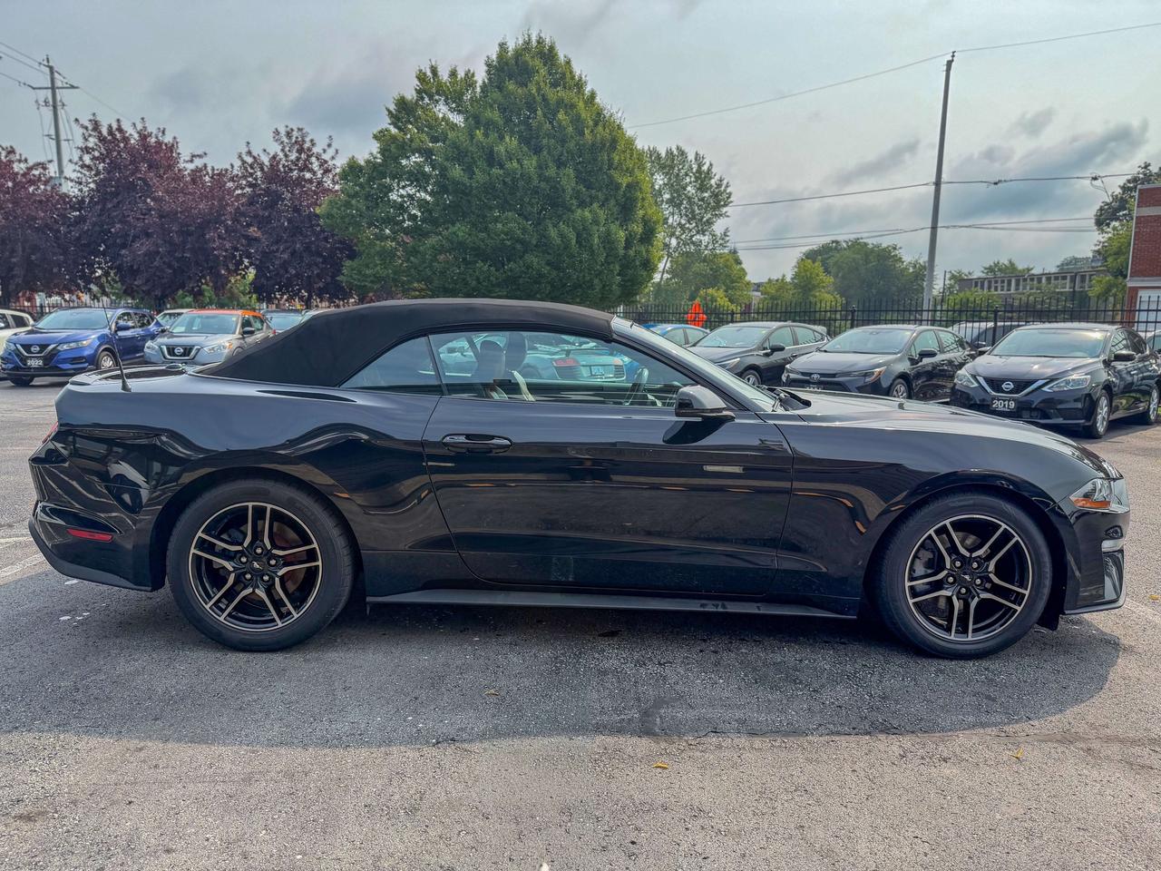 2018 Ford Mustang SOFT TOP-CONVERTIBLE/CAMERA/REMOTE/BROWN LEATHER Photo