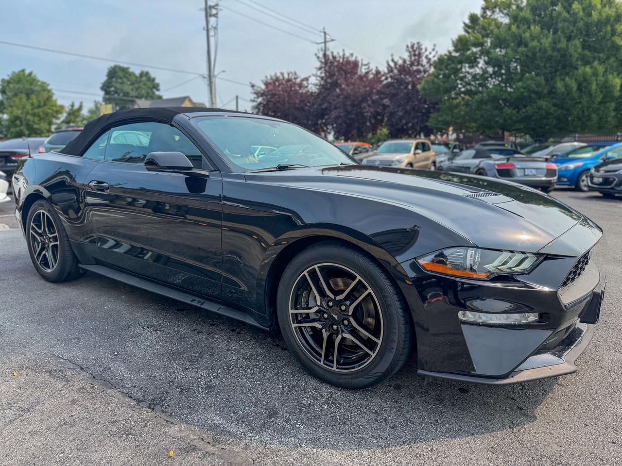 2018 Ford Mustang SOFT TOP-CONVERTIBLE/CAMERA/REMOTE/BROWN LEATHER Photo