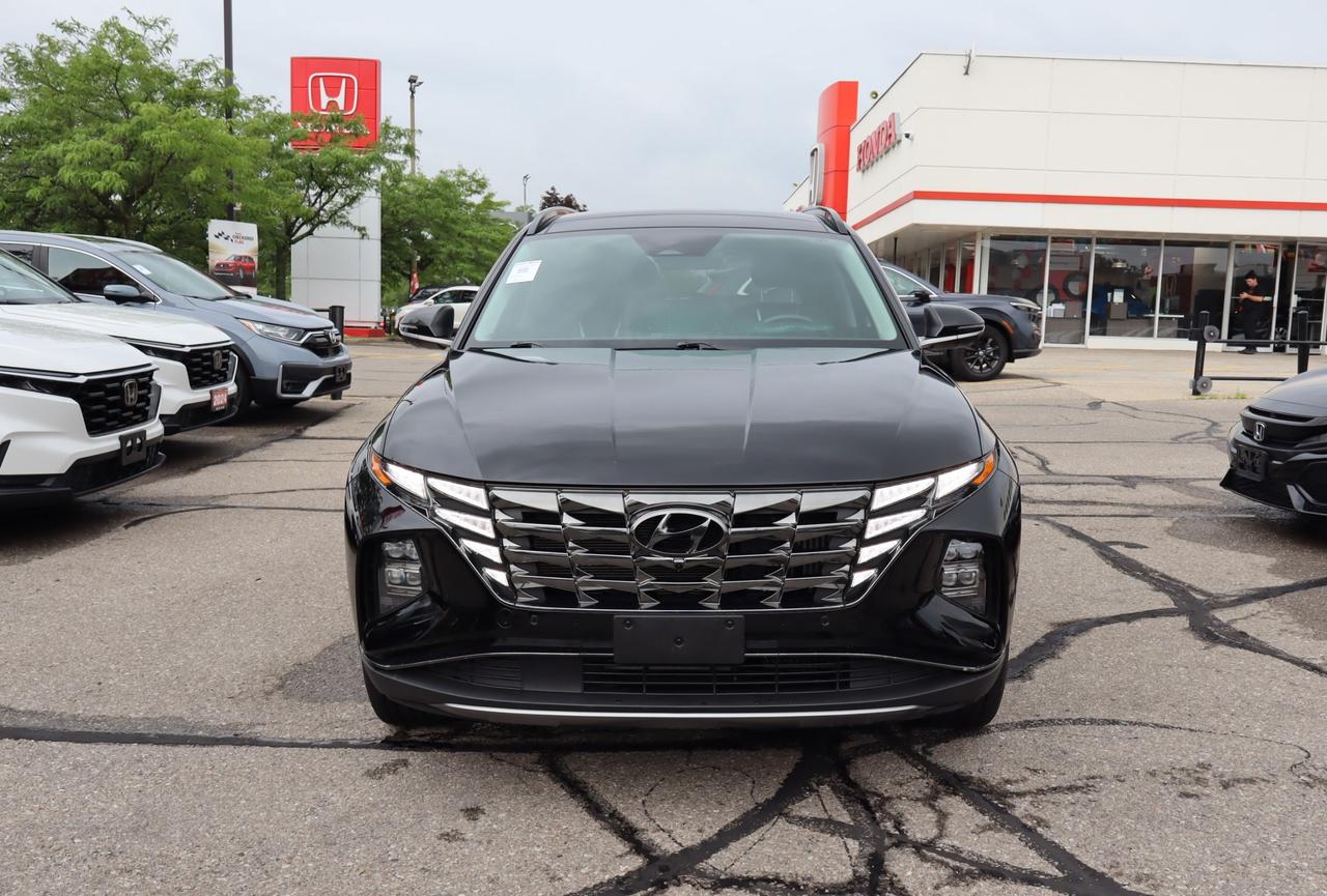 2024 Hyundai Tucson Hybrid Ultimate 4dr All-Wheel Drive Photo