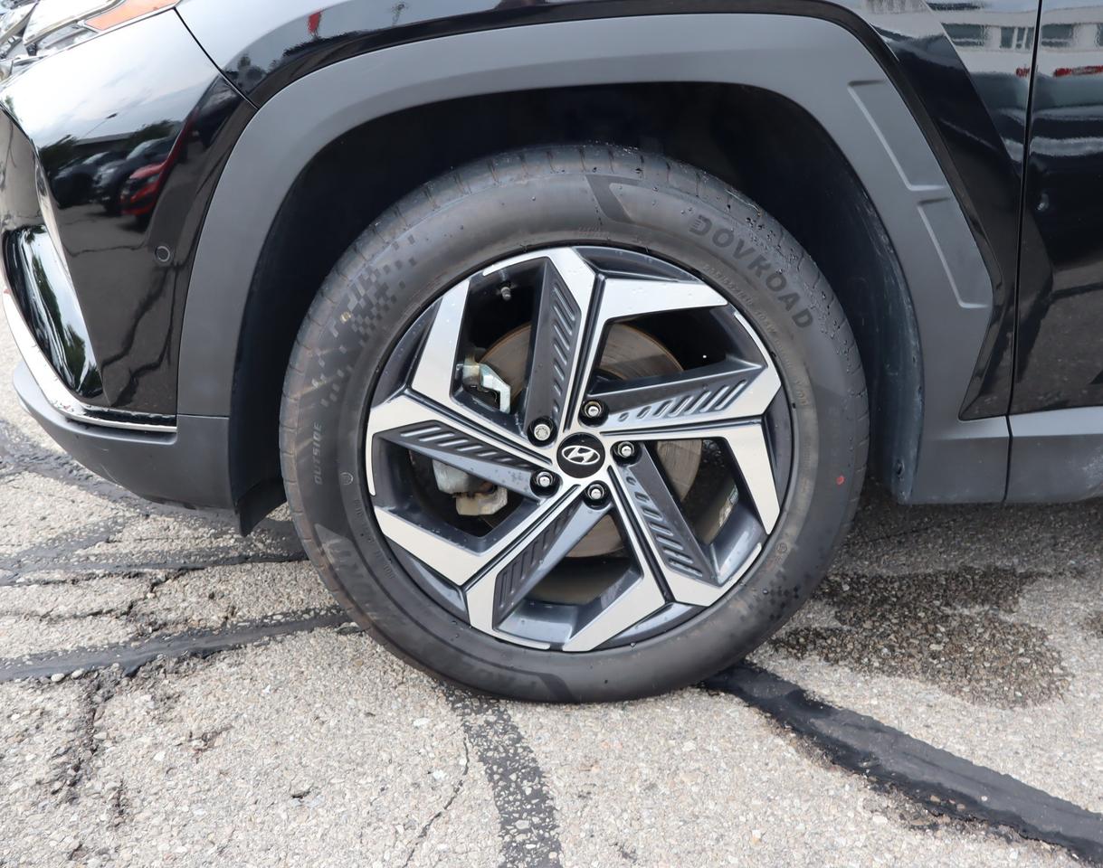 2024 Hyundai Tucson Hybrid Ultimate 4dr All-Wheel Drive Photo