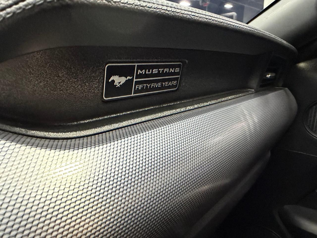 2020 Ford Mustang GT FASTBACK  5.0L V8 BLACK PACK ADAPTIVE CRUISE Photo