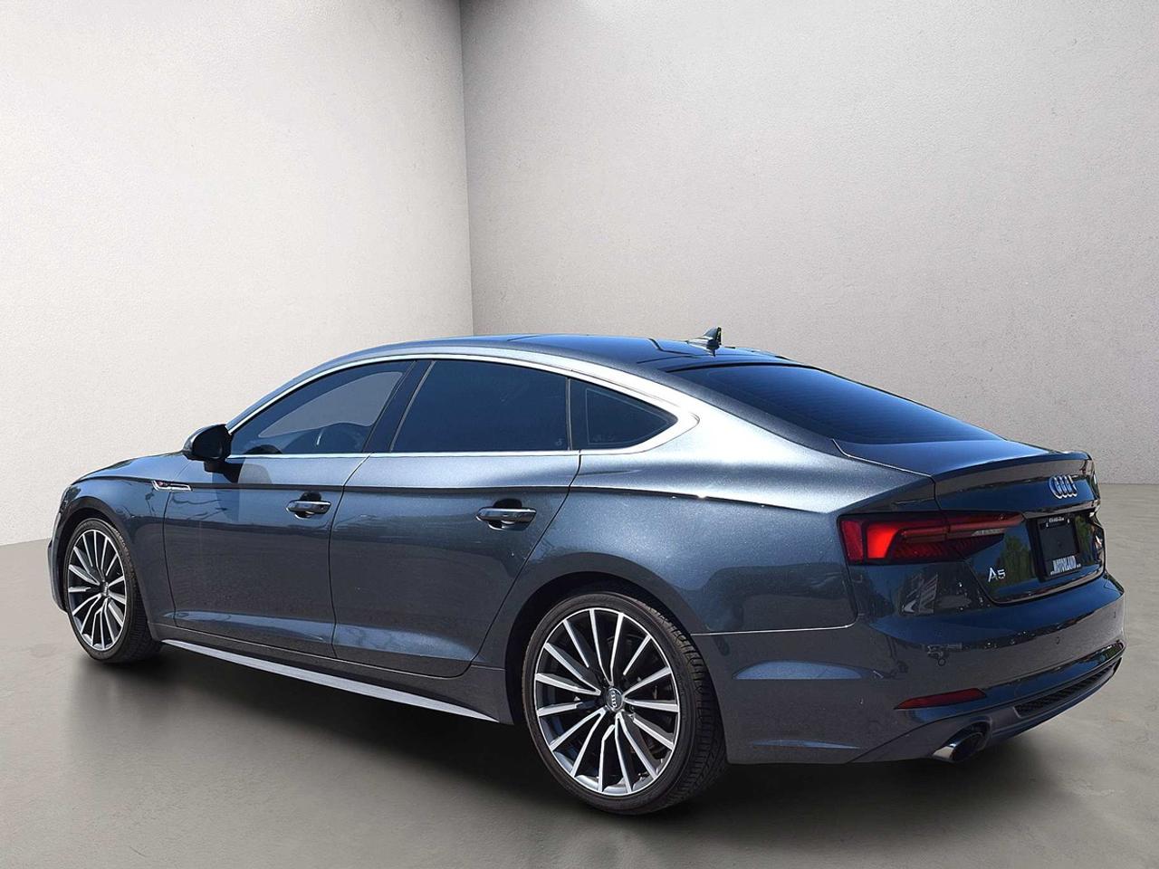 2019 Audi A5 Sportback Technik S-line Photo