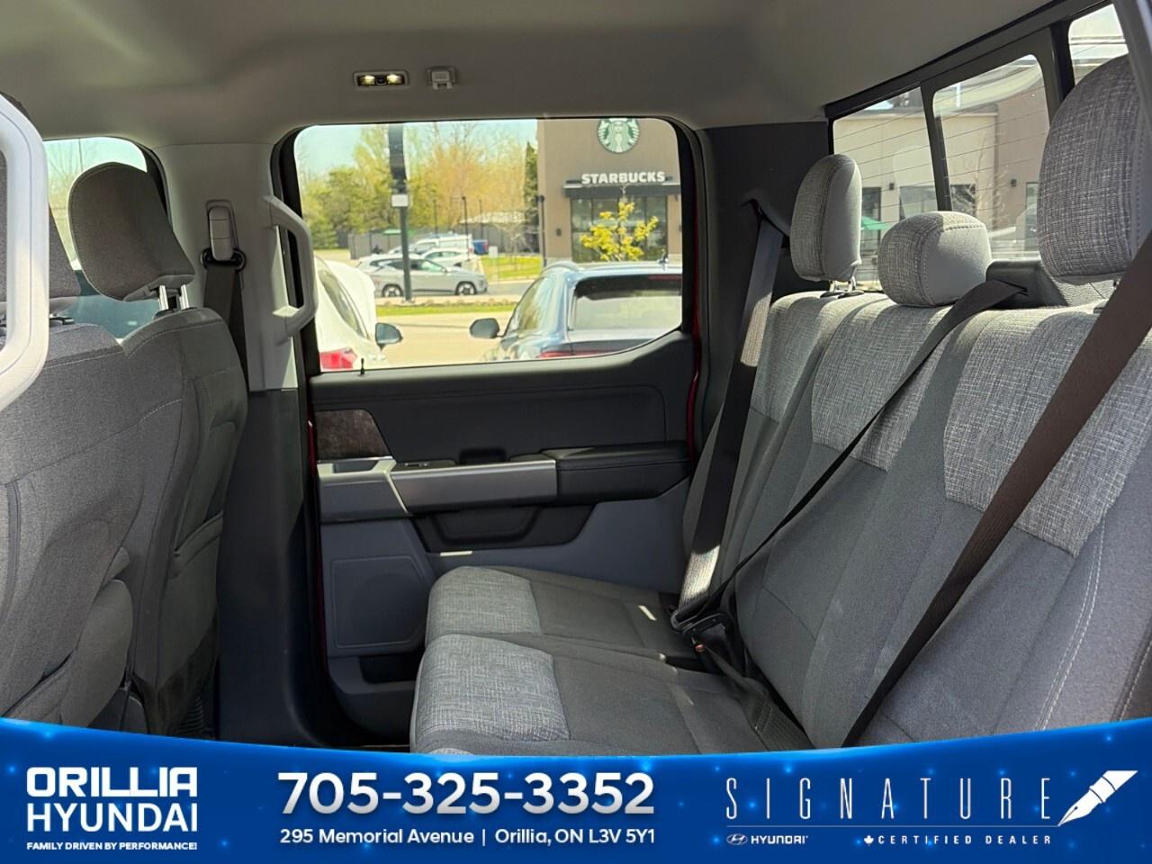 2022 Ford F-150 XLT 4WD SuperCrew 6.5' Box Photo