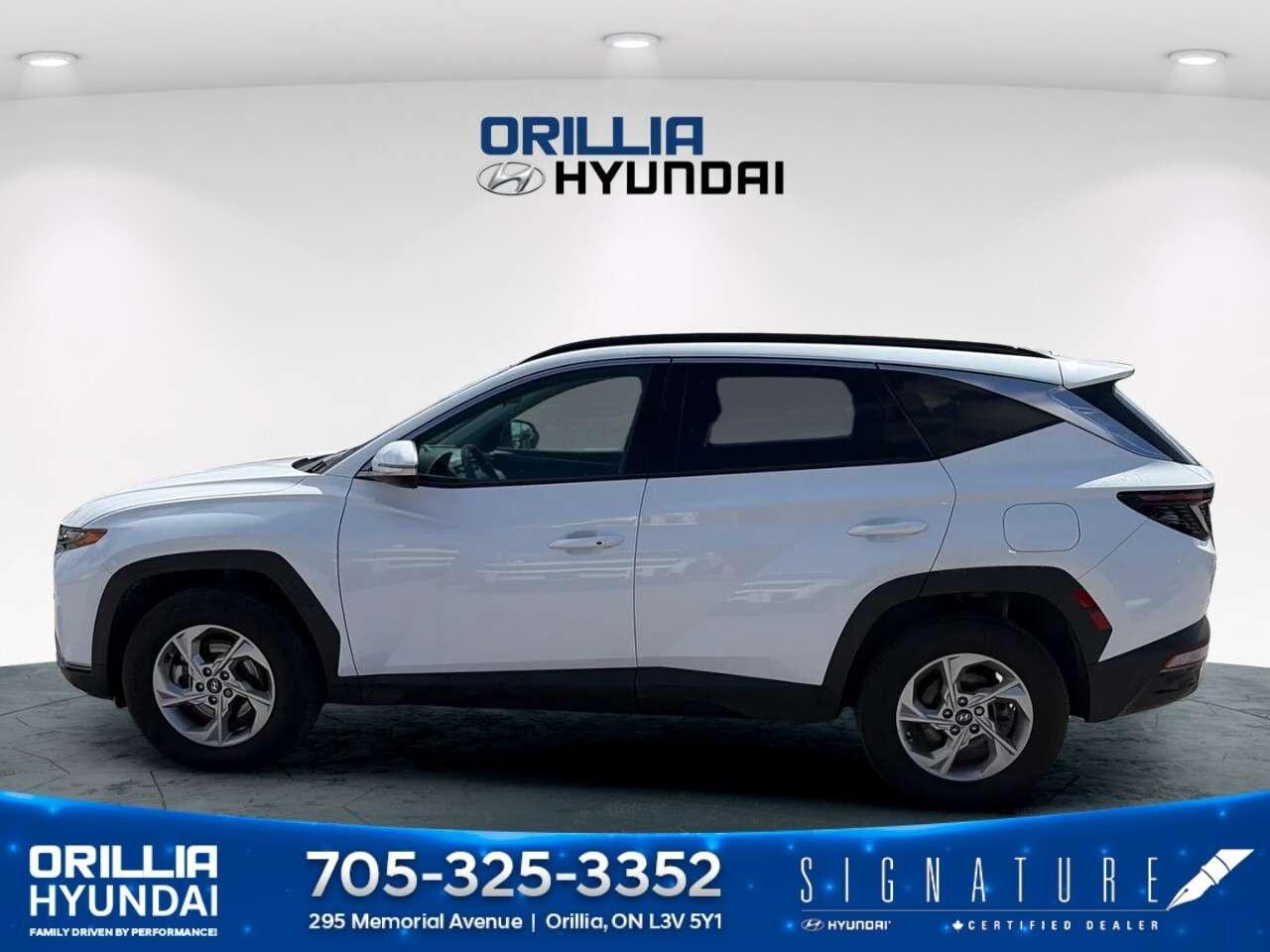 2024 Hyundai Tucson TREND AWD Photo