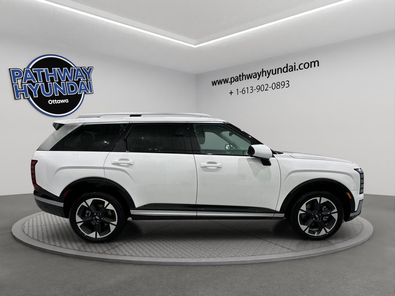 2026 Hyundai Palisade Hybrid Luxury Photo