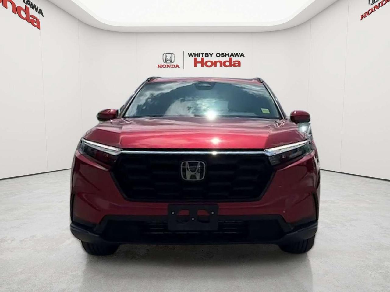 2025 Honda CR-V Sport Photo