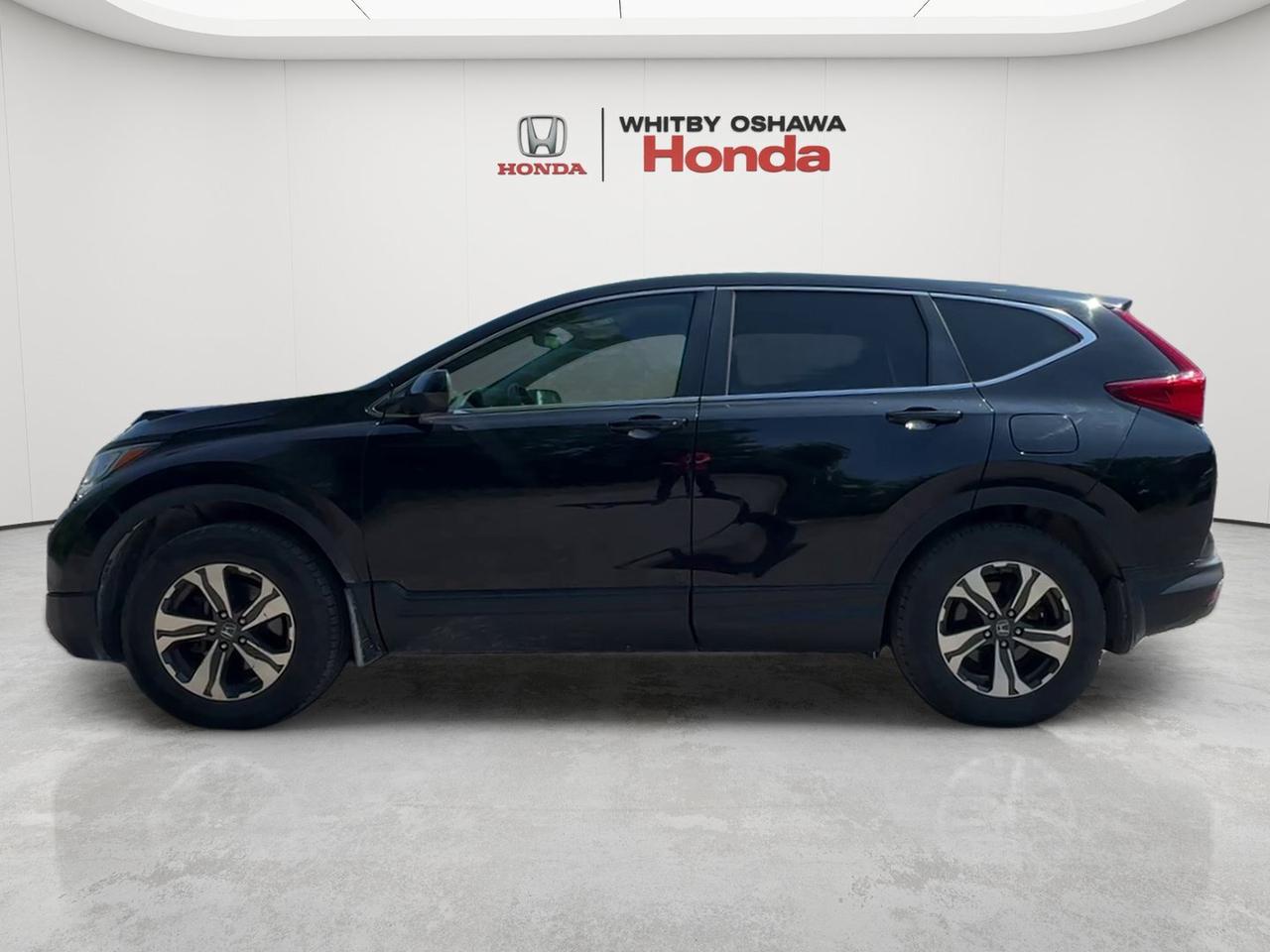 2019 Honda CR-V LX AWD Photo
