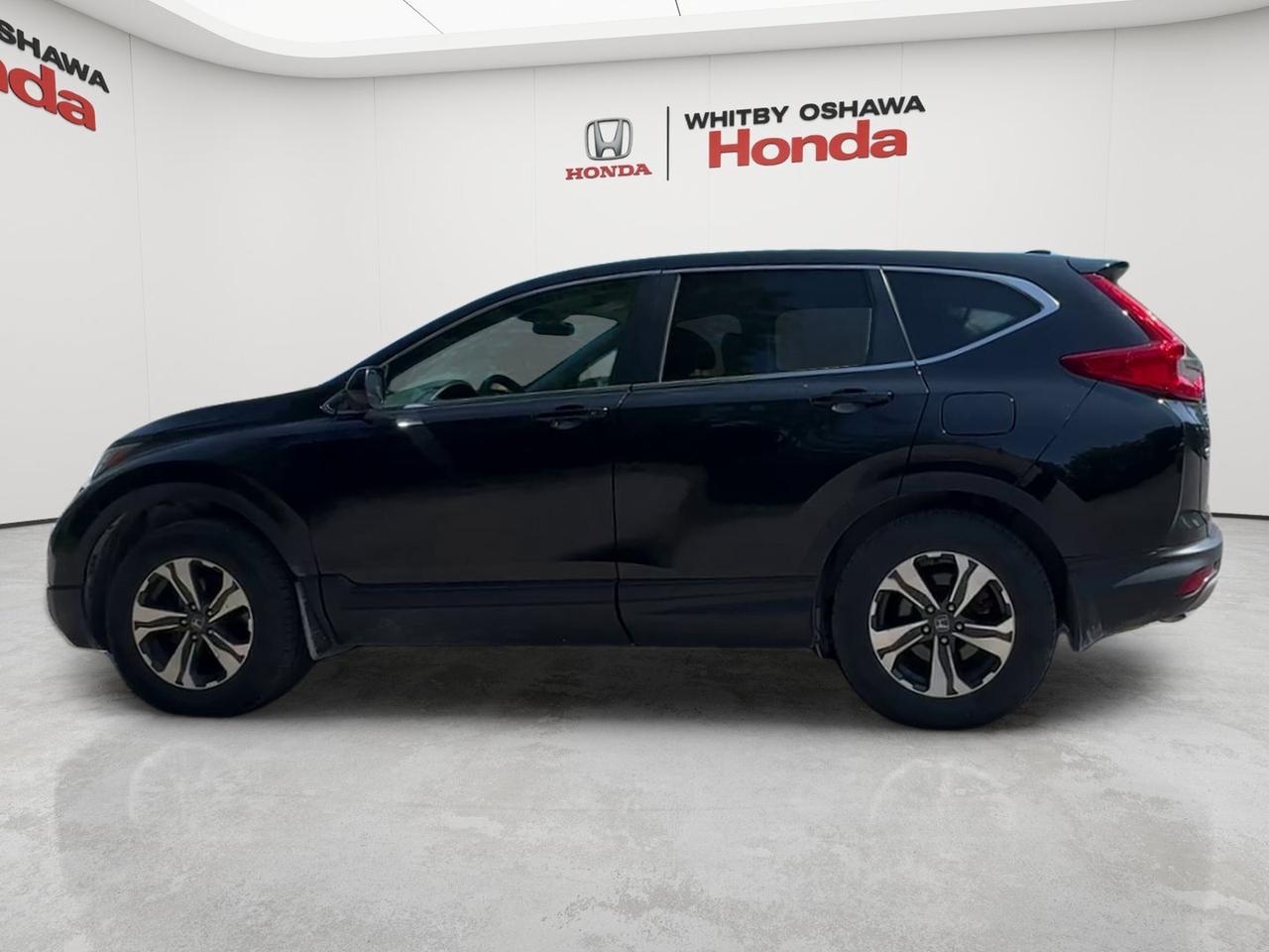 2019 Honda CR-V LX AWD Photo