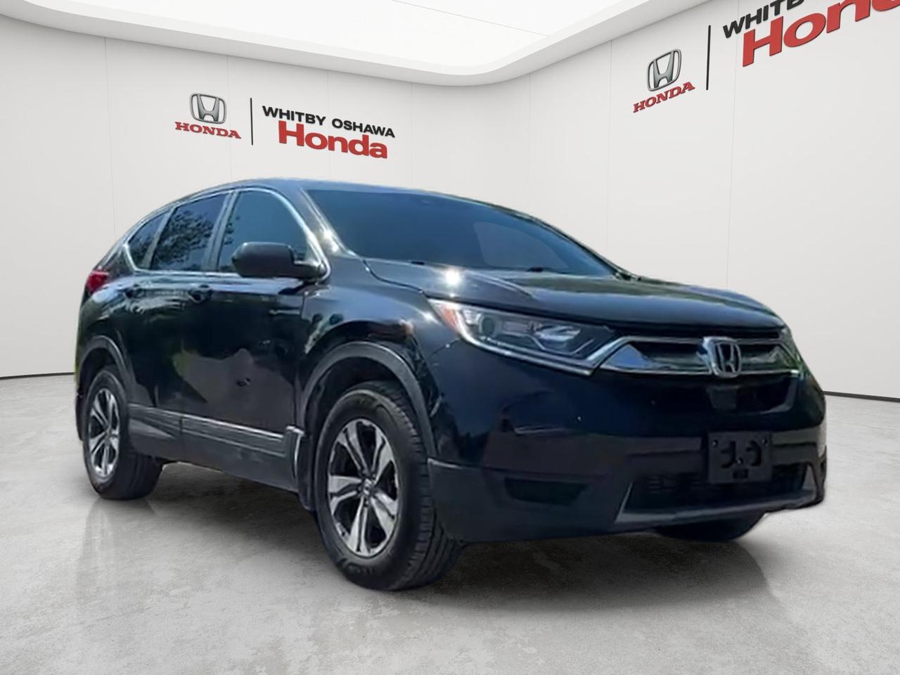2019 Honda CR-V LX AWD Photo