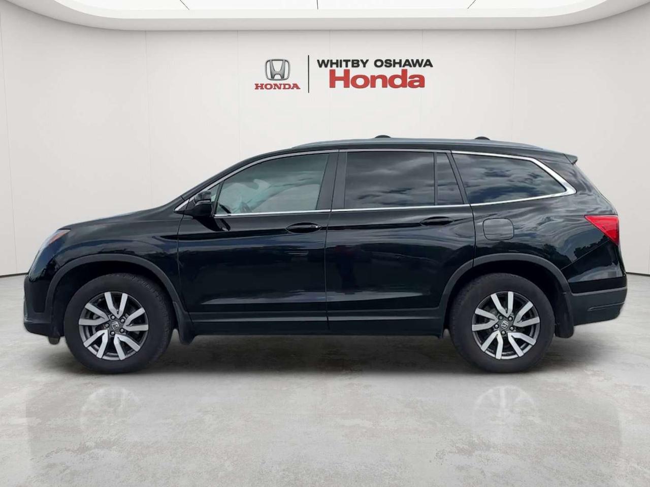 2022 Honda Pilot EX-L Photo