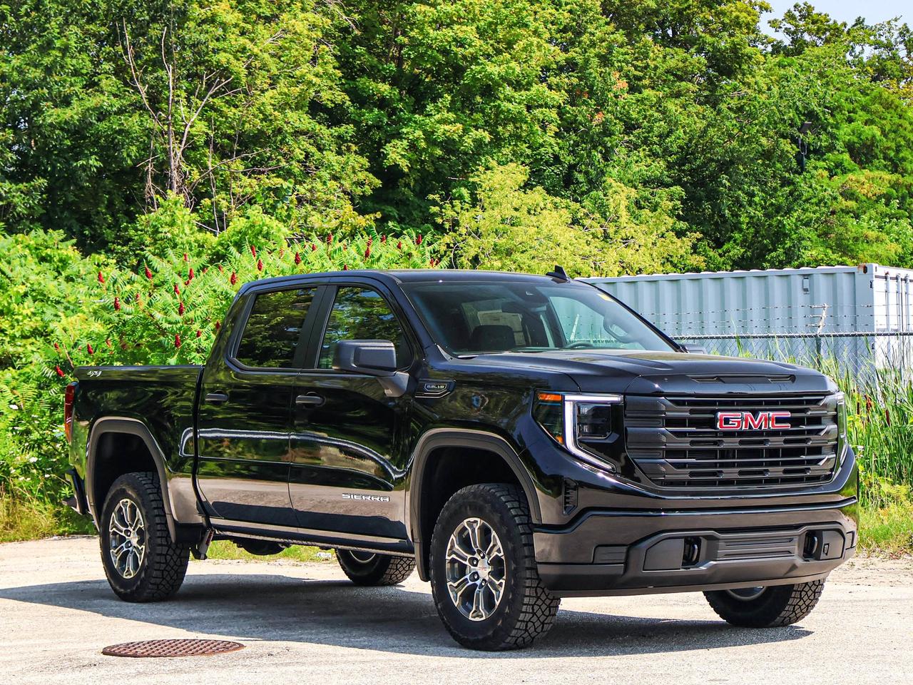 2026 GMC Sierra 1500 PRO Photo