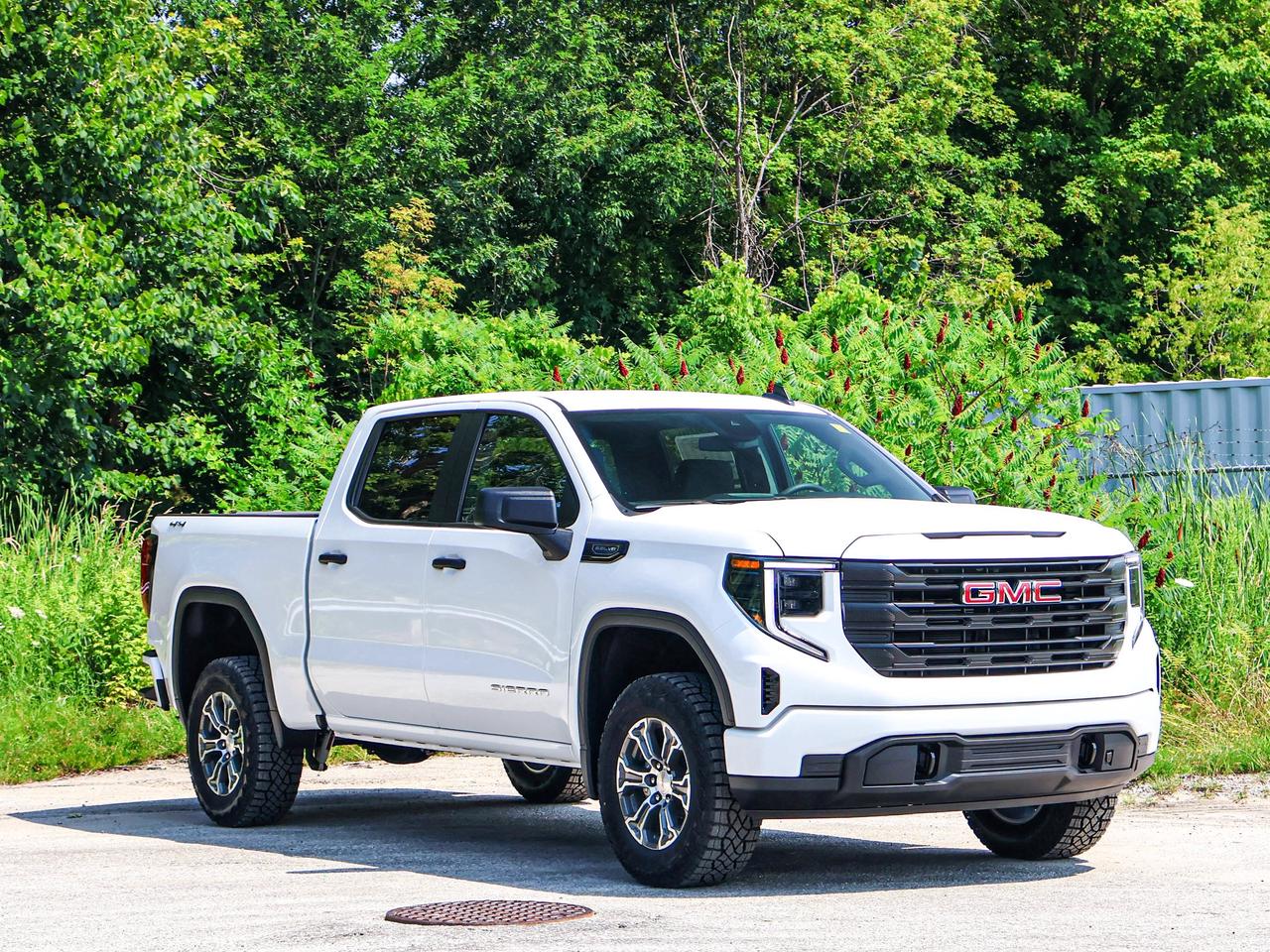 2026 GMC Sierra 1500 PRO Photo