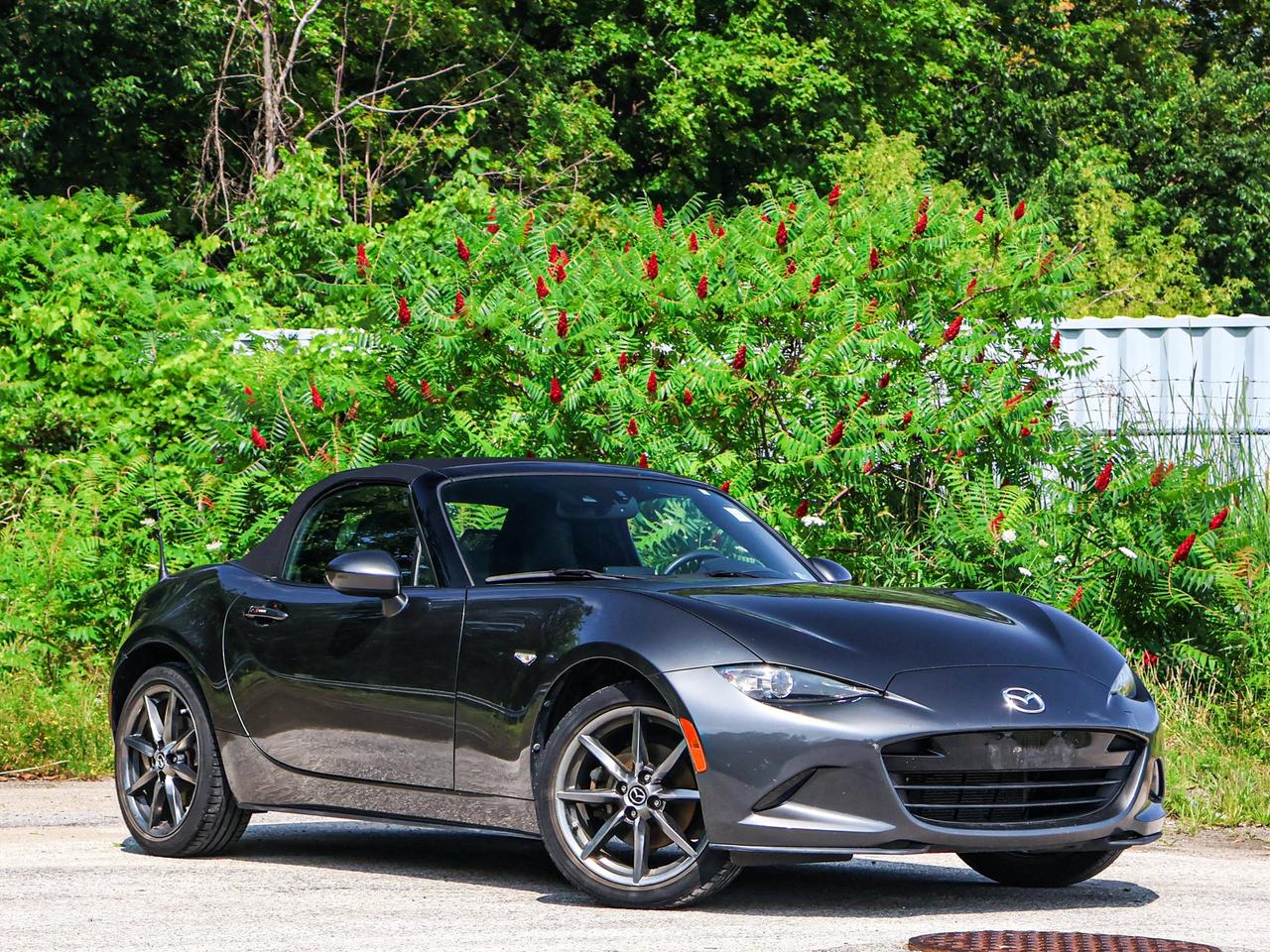 2018 Mazda MX-5 GT Photo5
