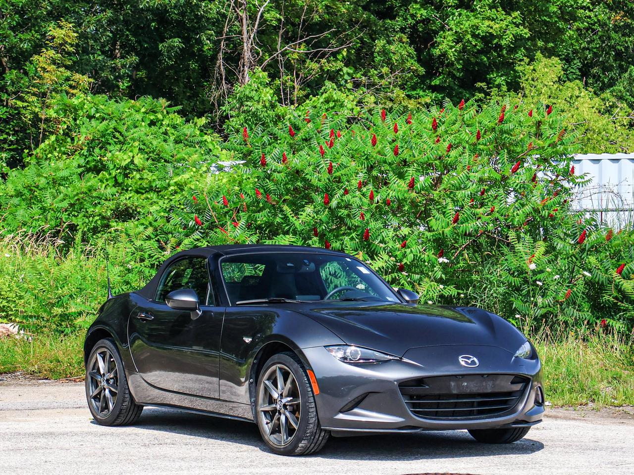 2018 Mazda MX-5 GT Photo