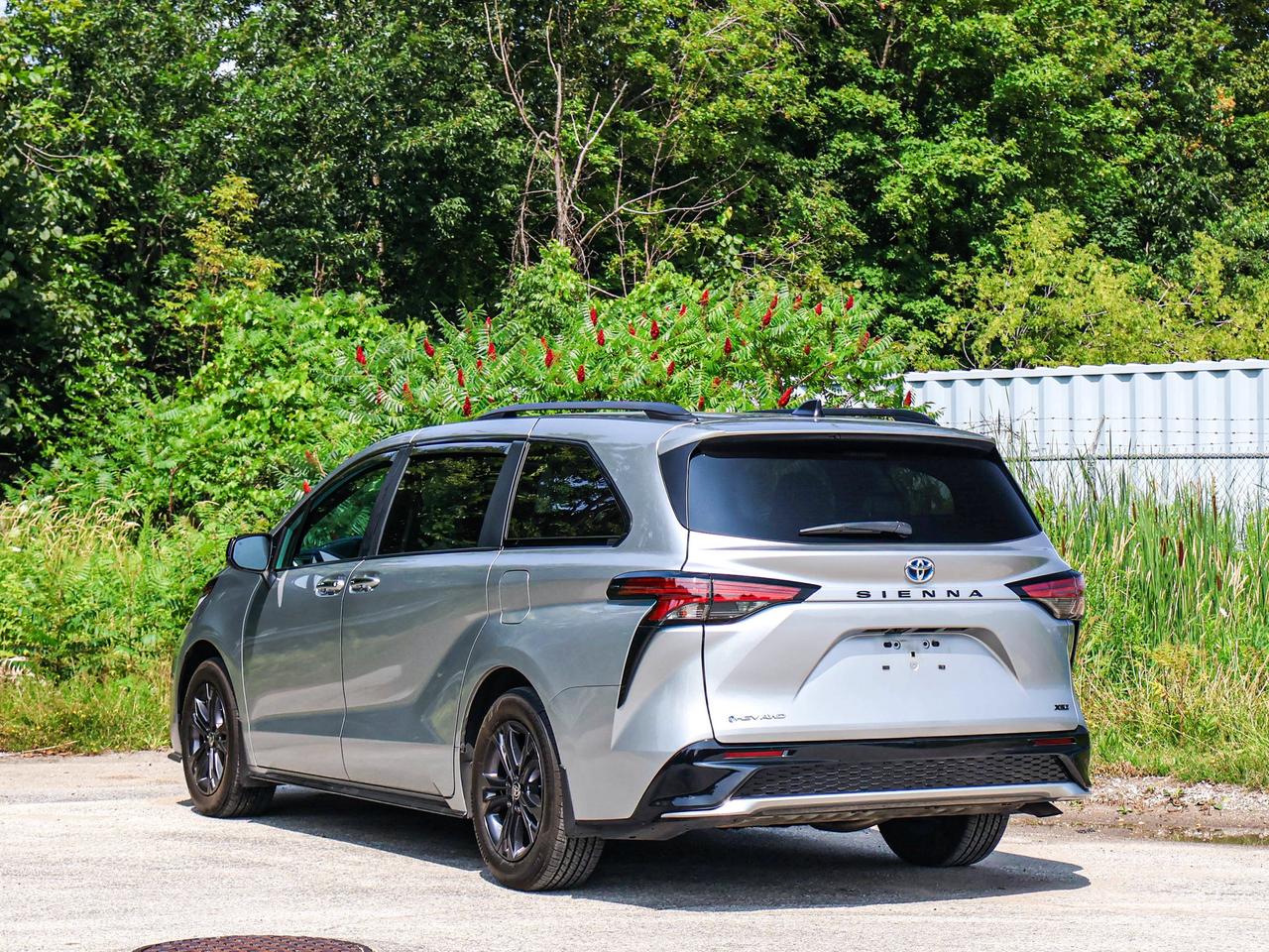 2025 Toyota Sienna LE Photo