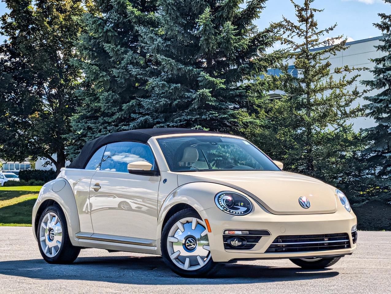 2019 Volkswagen Beetle Convertible Wolfsburg Photo