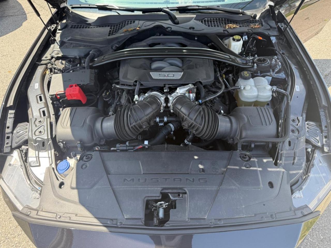 2024 Ford Mustang GT PERFORMANCE PACKAGE /B&O /DARK MATTER METALLIC Photo