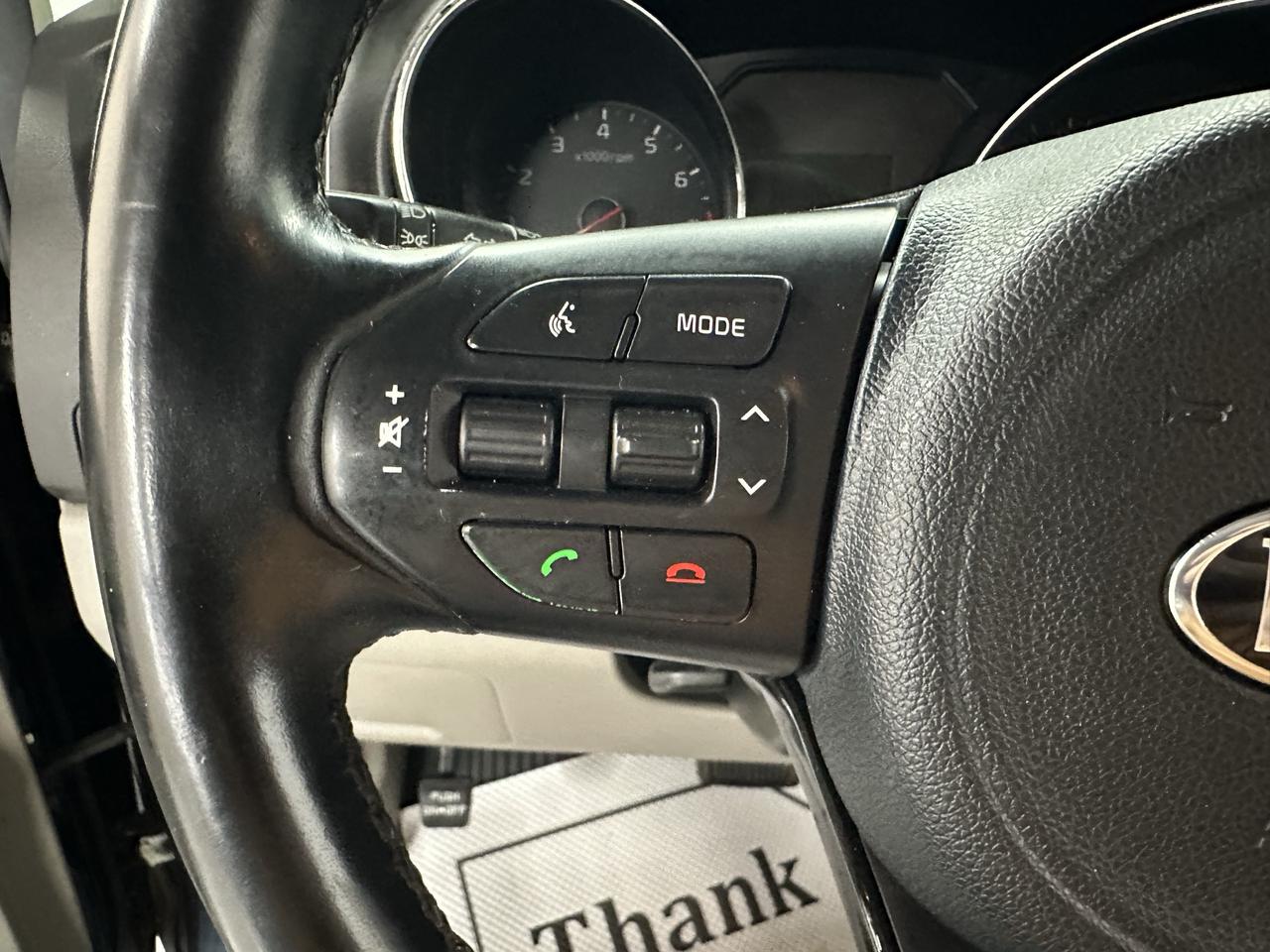 2017 Kia Sedona LX Photo37