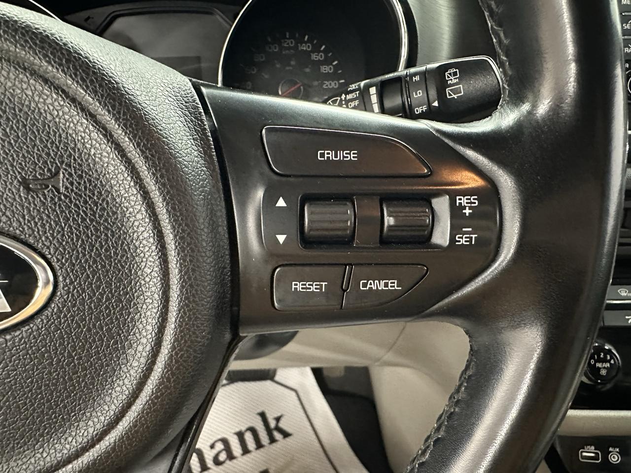2017 Kia Sedona LX Photo17
