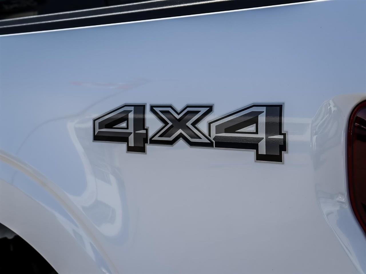 2026 Ford F-150 XLT Photo