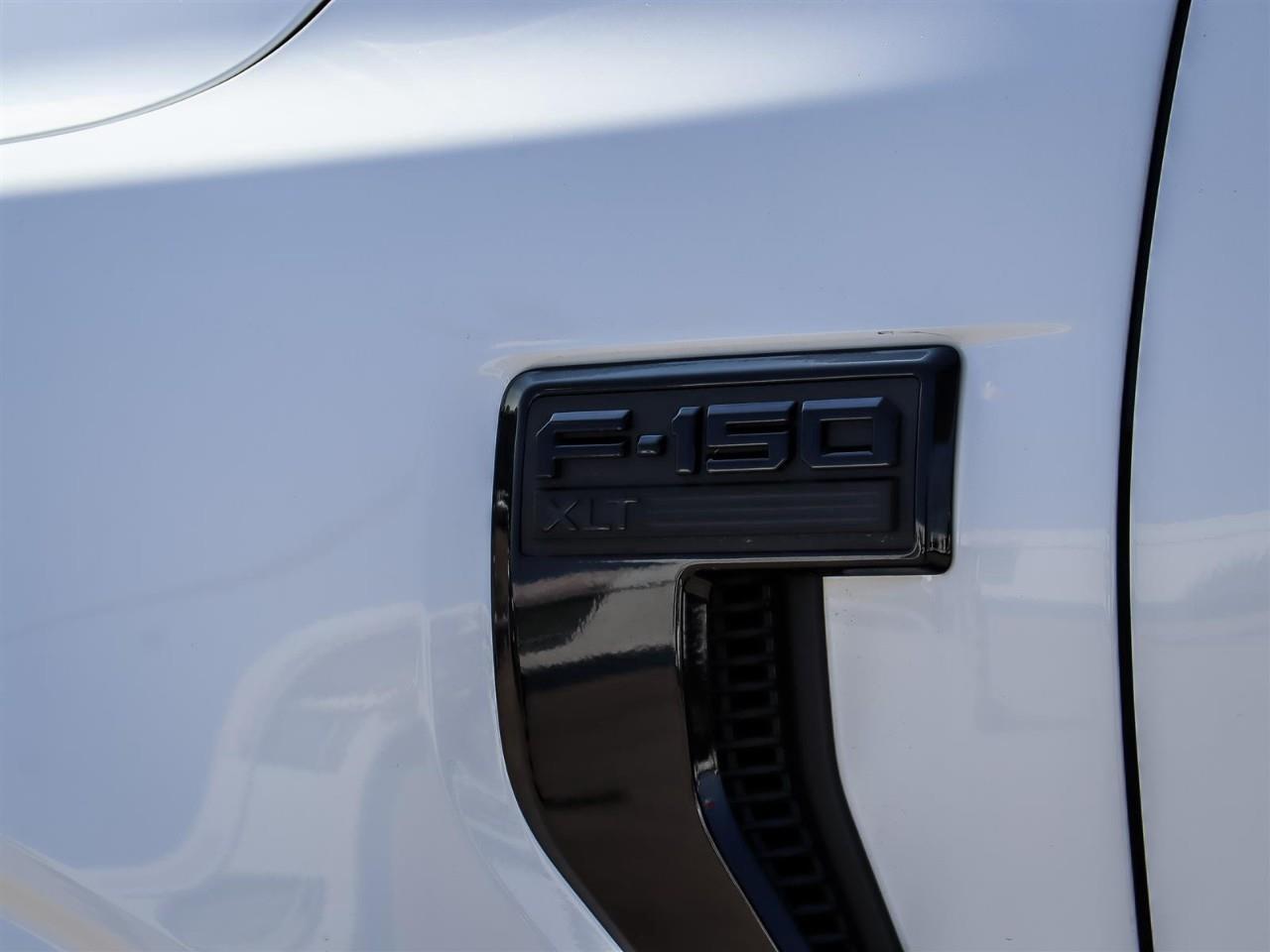 2026 Ford F-150 XLT Photo
