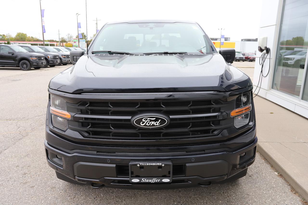 2026 Ford F-150 XLT 4WD SuperCrew 5.5' Box Photo