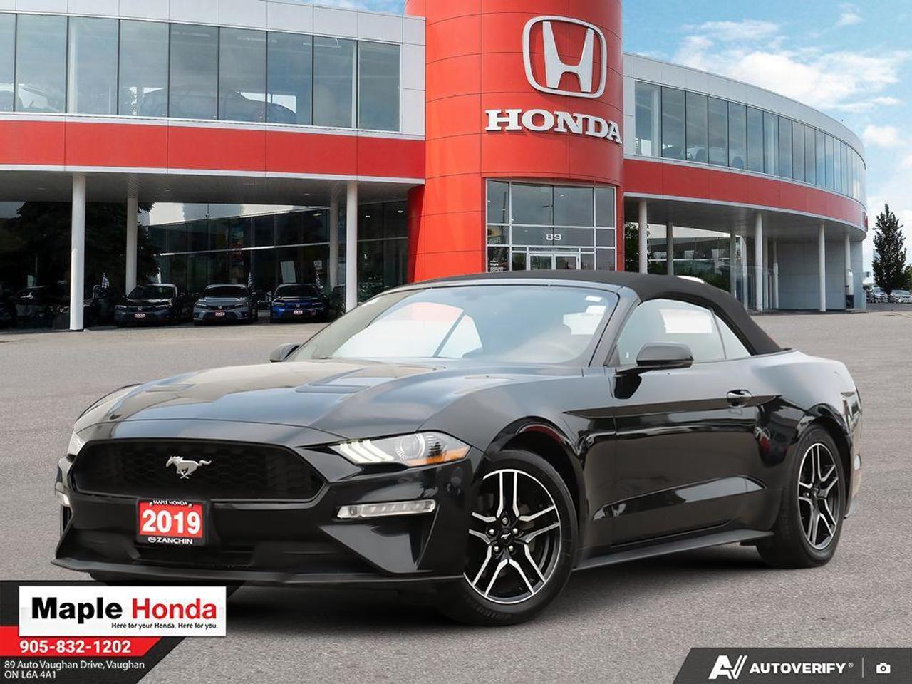 Recent Arrival! 2019 Ford Mustang Eco Boost Premium Heated Seats| Navigation| Premium Exhaust System| Convertible

Eco Boost Premium Heated Seats| Navigation| Premium Exhaust System| Convertible RWD 10-Speed Automatic Eco Boost 2.3L I4 GTDi DOHC Turbocharged VCT


Why Buy from Maple Honda? REVIEWS: Why buy an used car from Maple Honda? Our reviews will answer the question for you. We have over 2,500 Google reviews and have an average score of 4.9 out of a possible 5. Who better to trust when buying an used car than the people who have already done so? DEPENDABLE DEALER: The Zanchin Group of companies has been providing new and used vehicles in Vaughan for over 40 years. Since 1973 our standards of excellent service and customer care has enabled us to grow to over 34 stores in the Great Toronto area and beyond. Still family owned and still providing exceptional customer care. WARRANTY / PROTECTION: Buying an used vehicle from Maple Honda is always a safe and sound investment. We know you want to be confident in your choice and we want you to be fully satisfied. Thats why ALL our used vehicles come with our limited warranty peace of mind package included in the price. No questions, no discussion - 30 days safety related items only. From the day you pick up your new car you can rest assured that we have you covered. TRADE-INS: We want your trade! Looking for the best price for your car? Our trade-in process is simple, quick and easy. You get the best price for your car with a transparent, market-leading value within a few minutes whether you are buying a new one from us or not. Our Used Sales Department is ALWAYS in need of fresh vehicles. Selling your car? Contact us for a value that will make you happy and get paid the same day. Https:/www.maplehonda.com.

Easy to buy, easy for servicing. You can find us in the Maple Auto Mall on Jane Street north of Rutherford. We are close both Canadas Wonderland and Vaughan Mills shopping centre. Easy to call in while you are shopping or visiting Wonderland, Maple Honda provides used Honda cars and trucks to buyers all over the GTA including, Toronto, Scarborough, Vaughan, Markham, and Richmond Hill. Our low used car prices attract buyers from as far away as Oshawa, Pickering, Ajax, Whitby and even the Mississauga and Oakville areas of Ontario. We have provided amazing customer service to Honda vehicle owners for over 40 years. As part of the Zanchin Auto group we offer dependable service and excellent customer care. We are here for you and your Honda.

Awards:
  * 2019 KBB.com 10 Coolest Cars Under $30,000