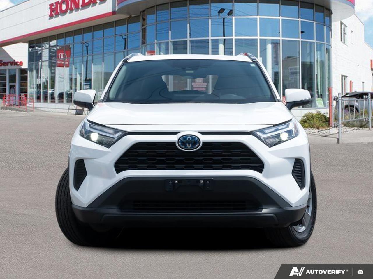 2024 Toyota RAV4  Photo
