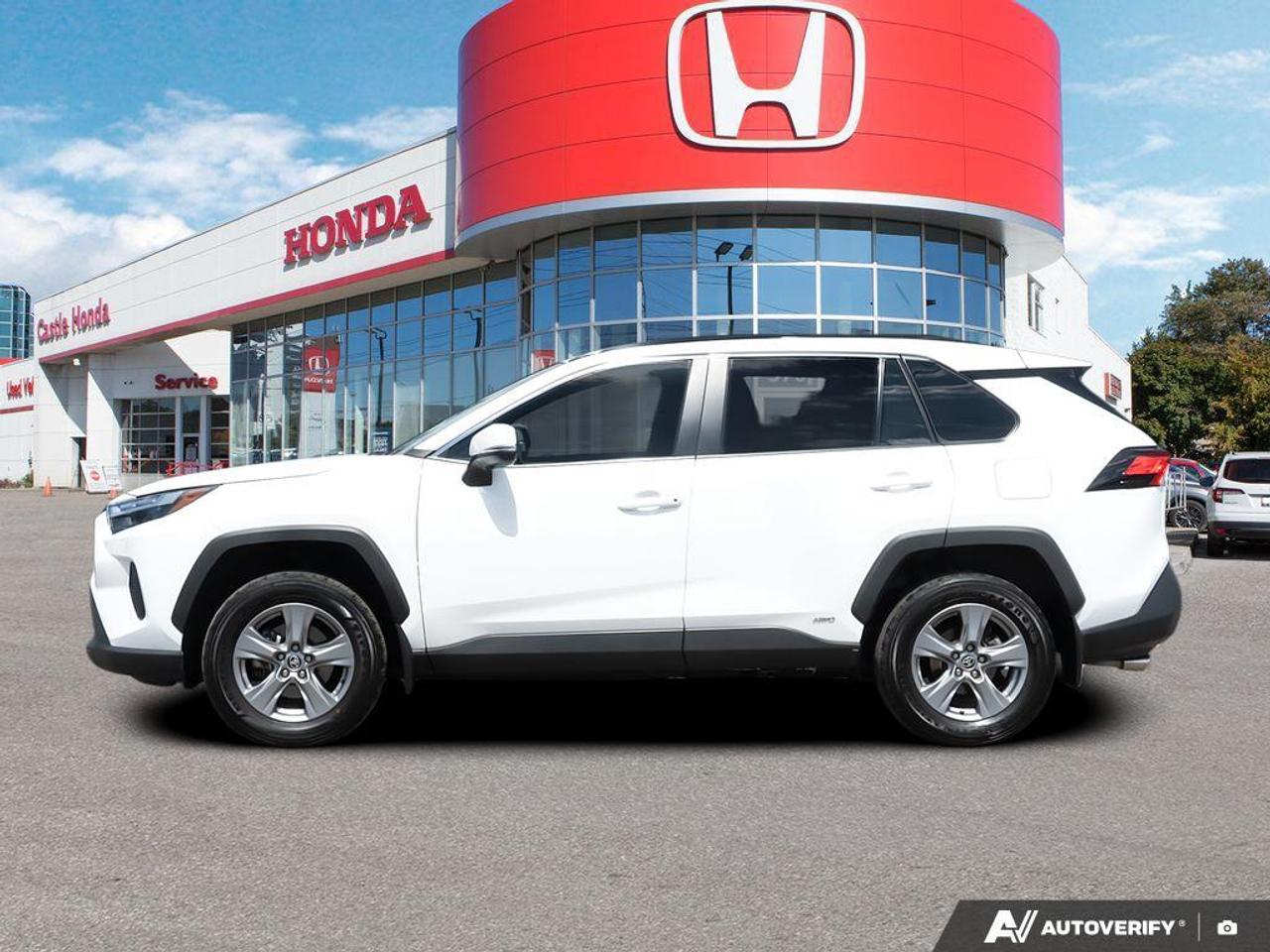 2024 Toyota RAV4  Photo