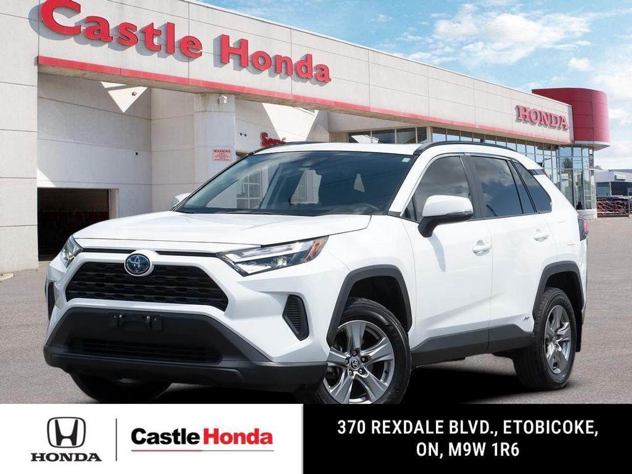 2024 Toyota RAV4  Photo0