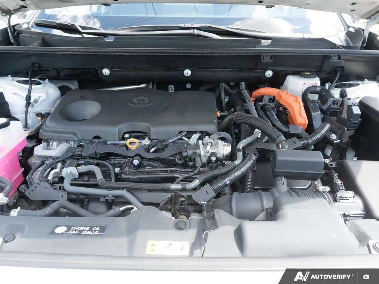 2024 Toyota RAV4  Photo