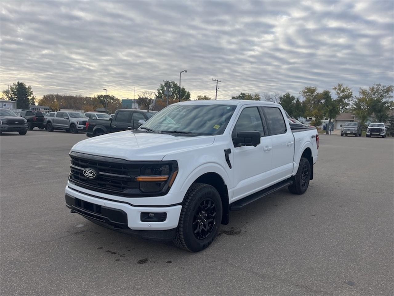 2026 Ford F-150 XLT  - 18" Wheels - Running Boards Photo5