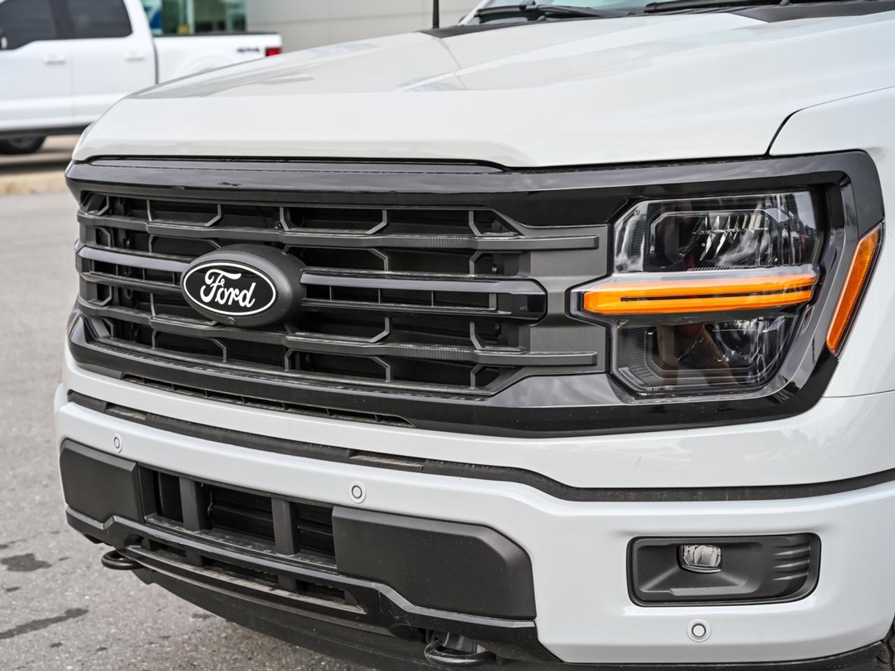 2026 Ford F-150 XLT Photo