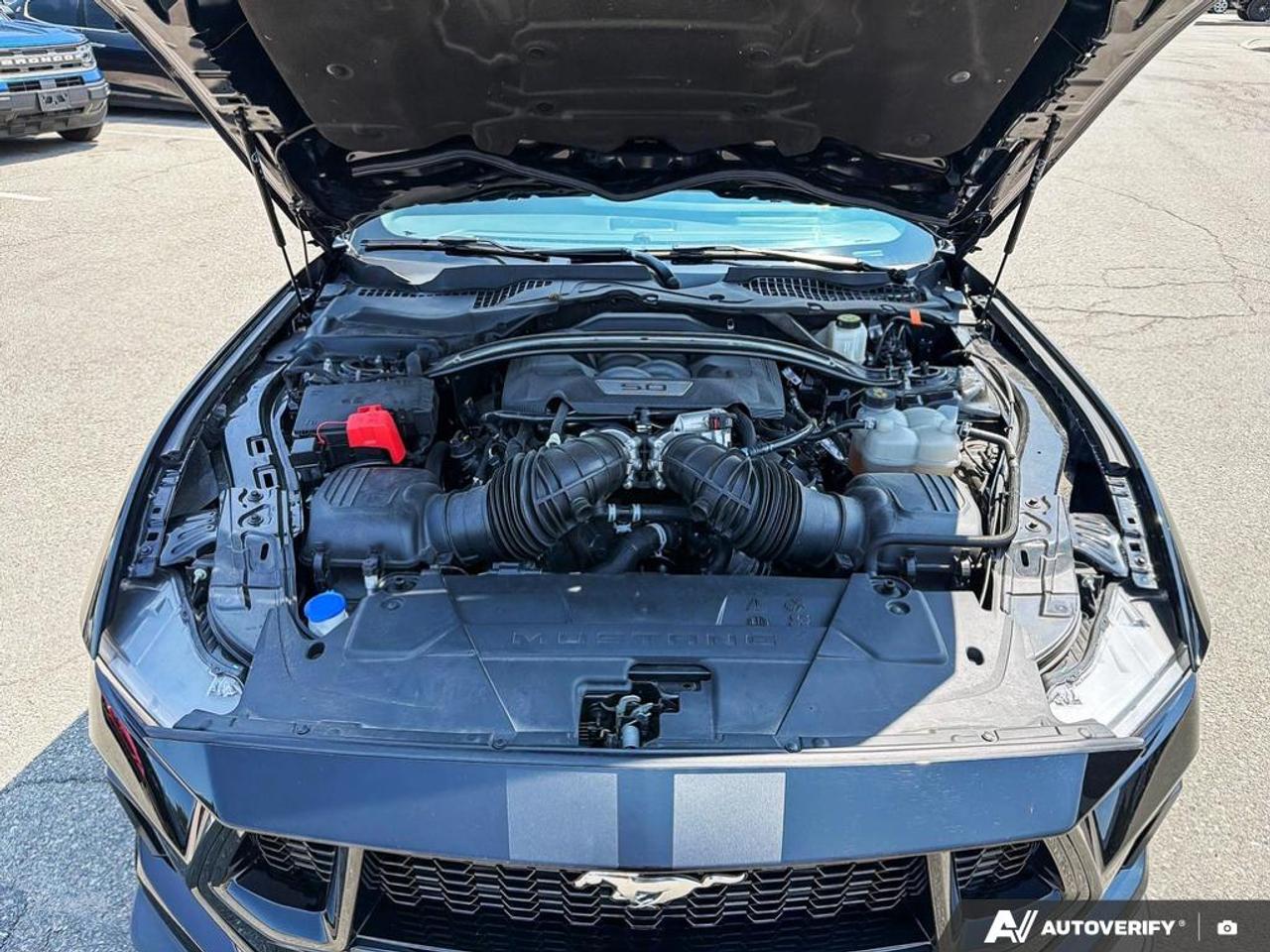 2024 Ford Mustang GT Premium 401A|GT PERFORMANCE|MAGNERIDE|ACTIVE VALVE|RED CAL Photo