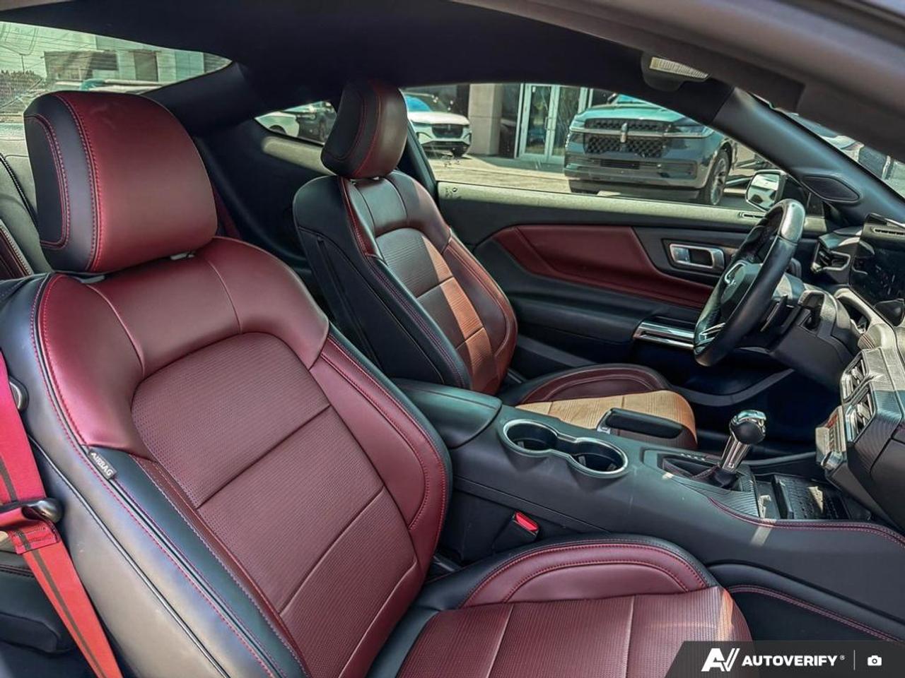 2024 Ford Mustang GT Premium 401A|GT PERFORMANCE|MAGNERIDE|ACTIVE VALVE|RED CAL Photo