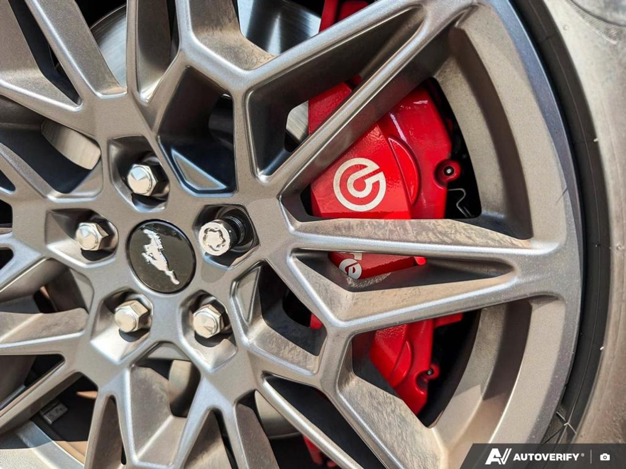 2024 Ford Mustang GT Premium 401A|GT PERFORMANCE|MAGNERIDE|ACTIVE VALVE|RED CAL Photo