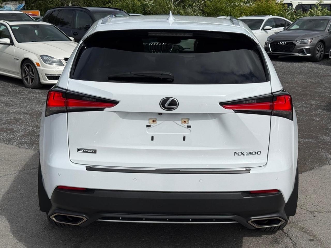 2021 Lexus NX 300 Photo