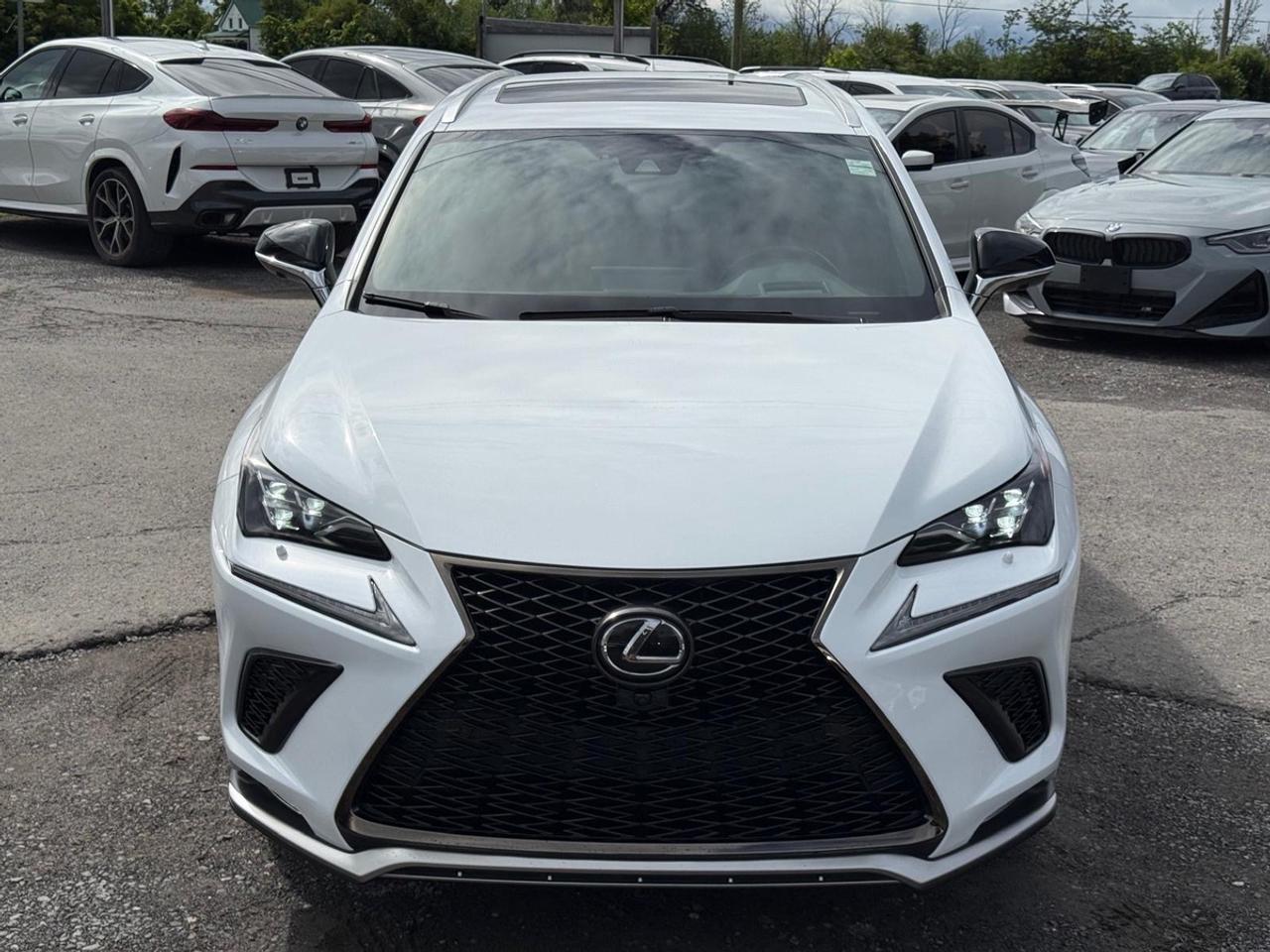 2021 Lexus NX 300 Photo