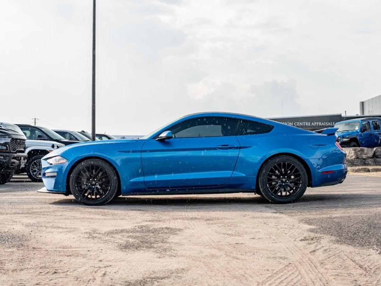 2020 Ford Mustang  Photo