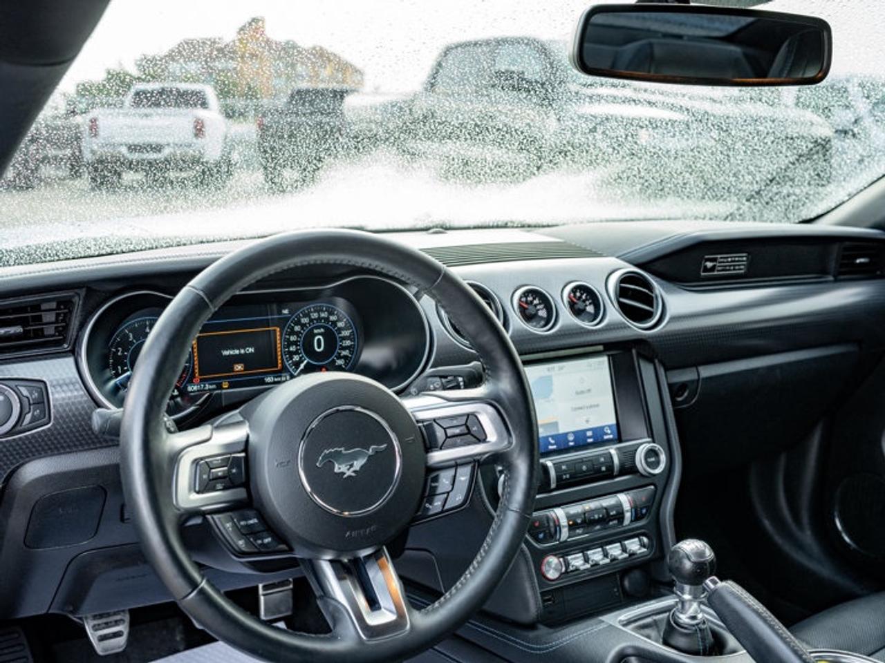 2020 Ford Mustang  Photo