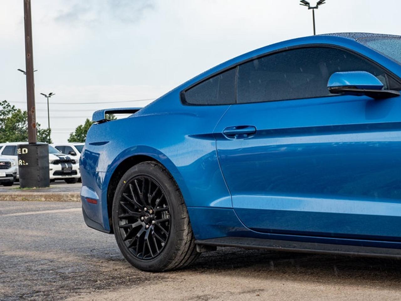 2020 Ford Mustang  Photo