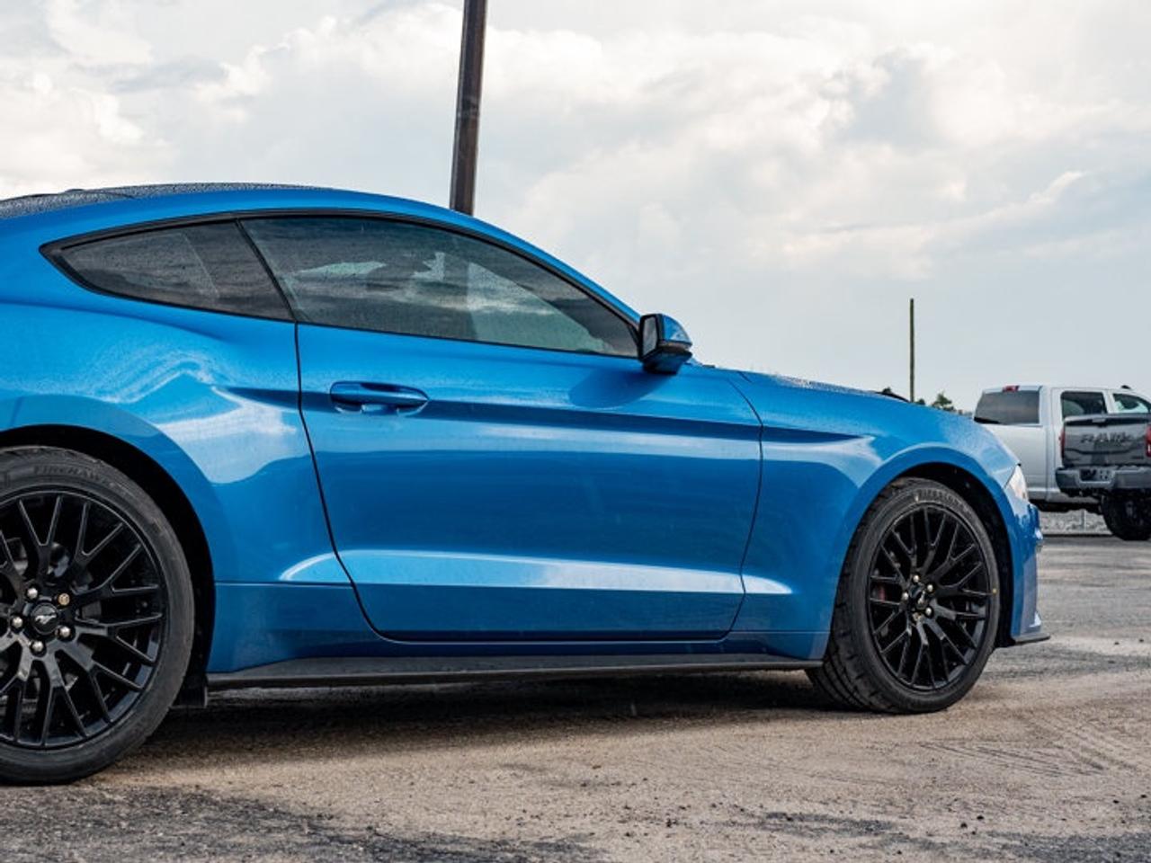 2020 Ford Mustang  Photo