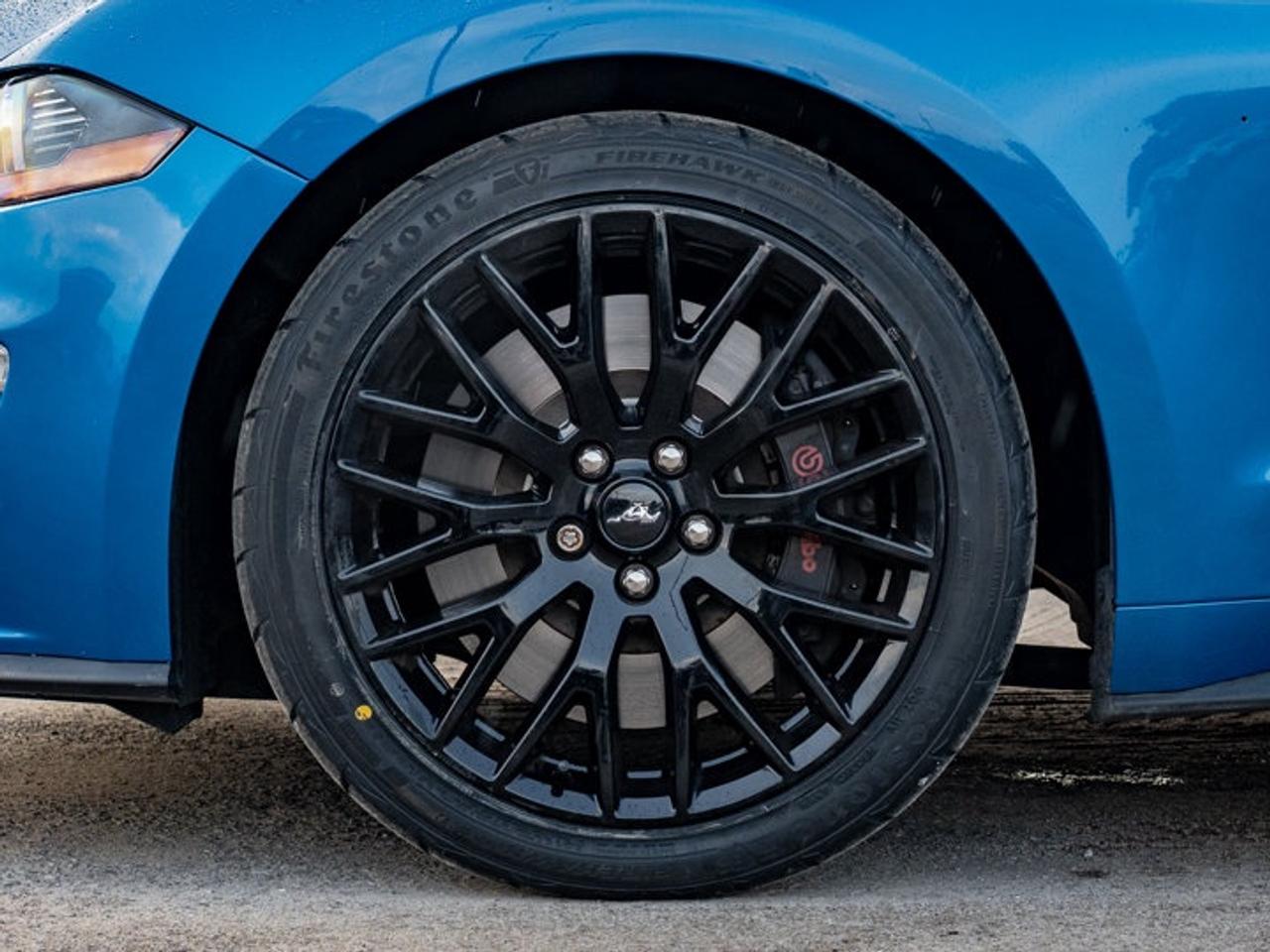2020 Ford Mustang  Photo