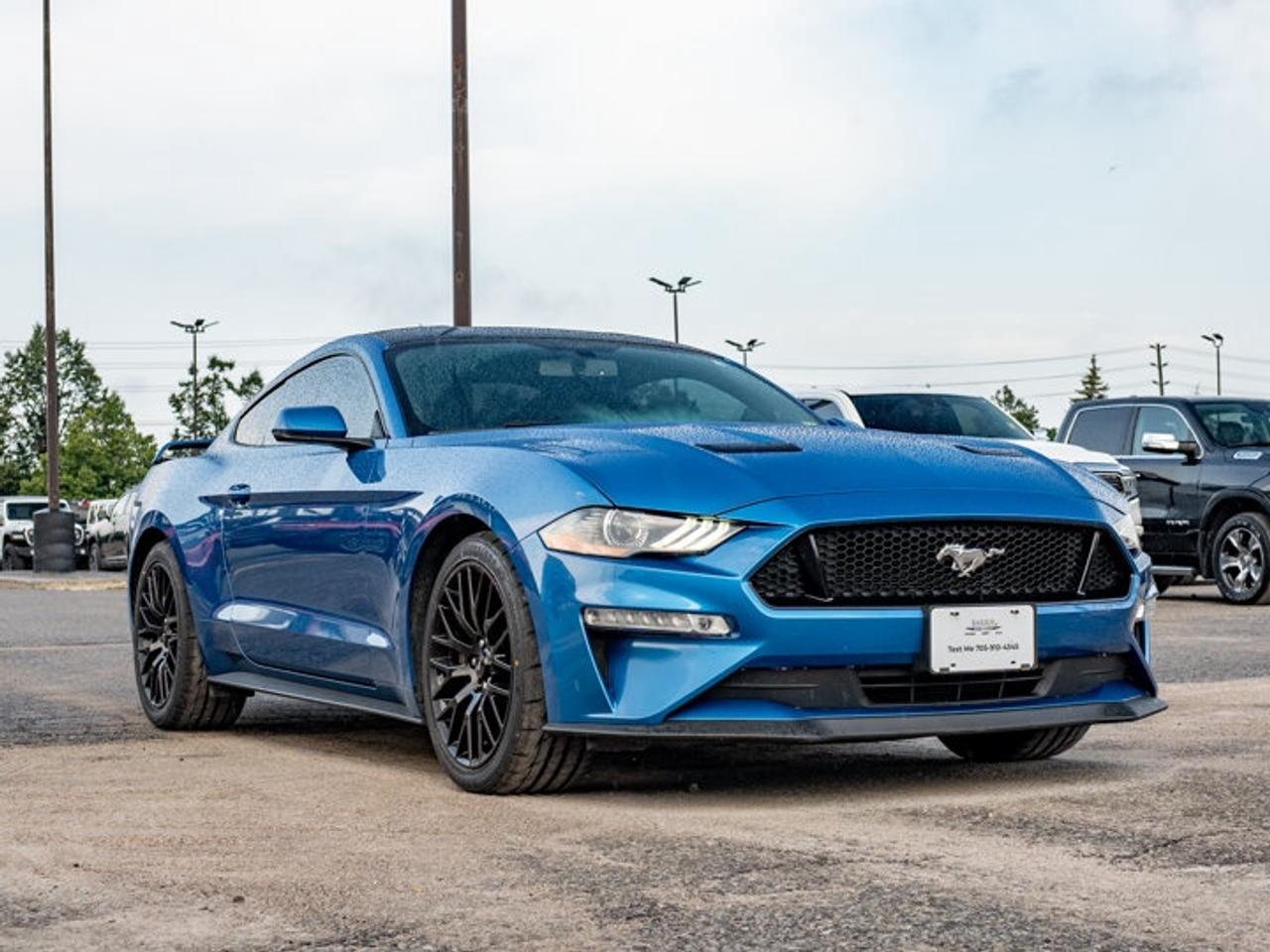 2020 Ford Mustang  Photo