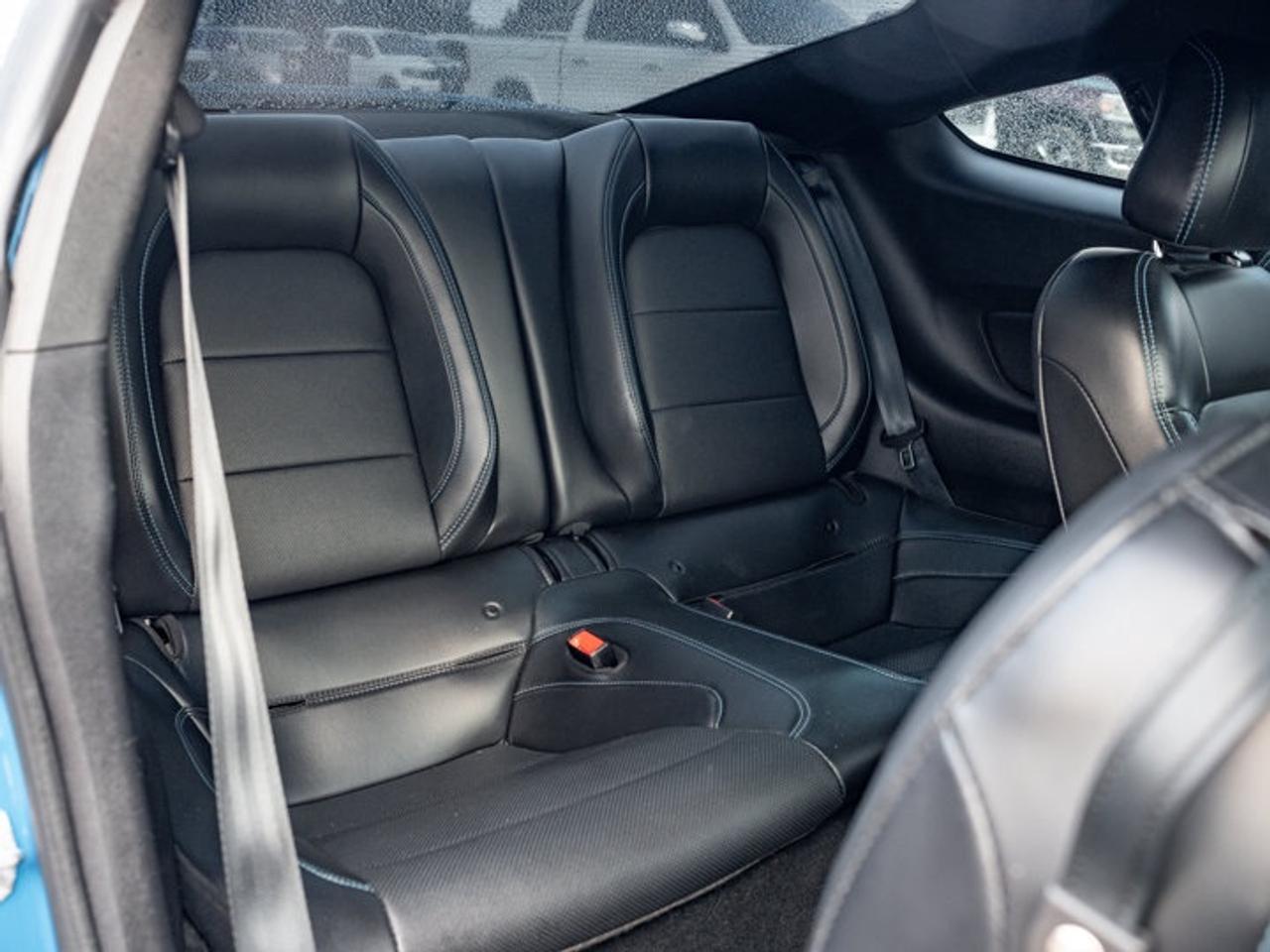 2020 Ford Mustang  Photo