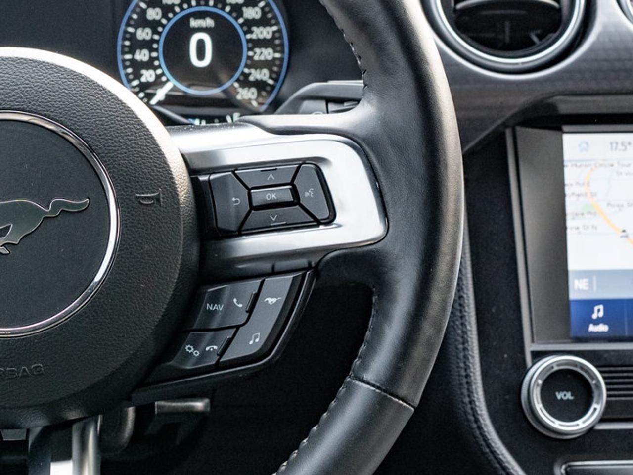 2020 Ford Mustang  Photo